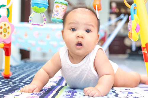 Pack 6 Débardeurs Imprimés Bébé Garçon — 100% Coton